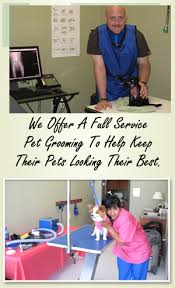 With our mobile dog grooming houston team, you can be sure if there's a skin irritation or another problem is detected, it is either treated or you are informed so that you take the pet to the vet. Pet Grooming Houston Dog Groomer Animal Hospital