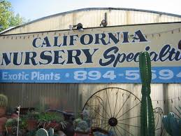Our nursery is a european company that is dedicated to produce seeds and plants especially with the known botanical origin. California Nursery Specialties Cactus Ranch Cacti And Succulents