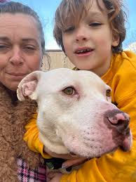 Dogs for Adoption Near Mount Olive, AL