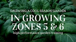 If a plant is hardy in zones 5 through 8, it can be grown in zones 5, 6, 7, and 8. Growing A Cool Season Garden In Zones 5 6