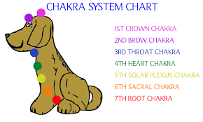 Chakra System Chart The Crown Chakra The Third Eye Chakra