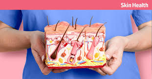 Image result for Comprehensive Skin Integrity Assessment