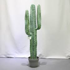 Removing offshoots from the mother plant helps. 100cm Large Cactus Pots Cactus Artificiales Decoracion For Plastic Indoor Bonsai Australia Buy Home Decor Online Shopping Cactus Charm For Cactus Artificial Unusual Home Decor Cactus Plantas For Natural Looking Artificial Plants Baby