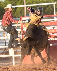 Smokin Hot Bull Riding is a success - Artesia Daily Press