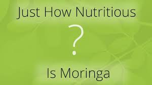 So Just How Nutritious Is Moringa Oleifera