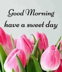 Jun 25, 2021 · good morning synonyms in english: 15 How To Say Good Morning In Spanish Ideas Good Morning In Spanish Good Morning Spanish