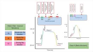 Image result for Antiarrhythmic