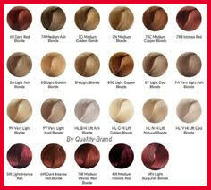 New Ion Permanent Hair Color Chart Pics Of Hair Color