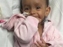 Fundraiser by Cassandra Roy : Luna's Love