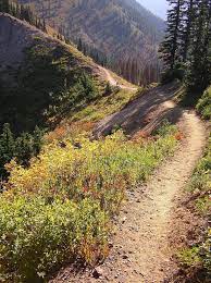 The Pacific Crest Trail North Of Chinook Pass Pacific Crest Trail Outdoors Adventure Scenic