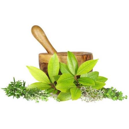Herbs and Ayur