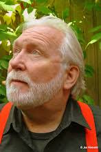 torfke: De eerste bitterbal werd in de 19e eeuw mogelijk geserveerd in  Slochteren