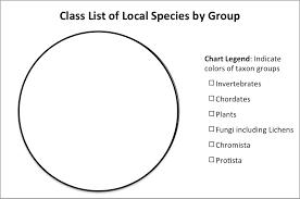 Invertebrate lecture worksheet all materials © cmassengale. Https Education Eol Org Lesson Plans 9 12 Citsci1 Introtobiodiversity Pdf