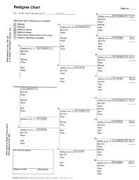 four generation pedigree chart lds printable best picture