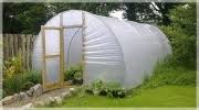 Greenhouse Grow Bags Garden Tips Derwen Garden Centre Guilsfield