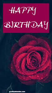 See more ideas about birthday wishes, beautiful flowers, beautiful roses. Welcome November Happy Birthday Gratitude Is Mine Happy Birthday Rose Birthday Wishes For Boss Happy Birthday Messages