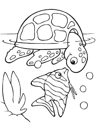 Here are fun free printable turtle coloring pages for children. Free Colouring Pages For Kids The Organised Housewife