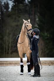 Ein Bisschen Betudeln Muss Zwischendurch Auch Sein Pferdefotografie By Ponyliebe Fotografie Hors Pferde Fotografie Pferde Madchen Fotografie Pferdeliebe