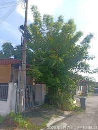 pin on tree cutting services 016 8997985 johor bahru