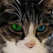 2020年版復縁の待ち受け画像 ラインの復縁背景画像 壁紙 即効 強力で効果絶大な必ず復縁できる口コミのある待ち受け 絶対叶う強力なおまじない 恋も願いが叶うおまじない 魔術 占い 潜在意識 待ち受け画像 待ち受け 恋が叶う 待ち受け