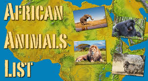 The list of african animals is very long and in this animalsake article i have tried to cover as many animals possible. African Animals List With Pictures Facts Information Worksheet