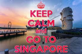For more romance inspired posts you can read about the best honeymoon destinations , a guide to plan a trip to hawaii , or things to know about travel in the maldives. Explore The Beauty Of Singapore Travel Travel Travel Quotes Singapore