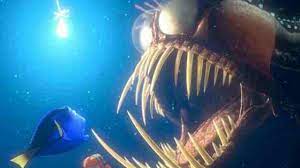 Dwayne never imagined how difficult it would be to get to boca diablo and see the butterflies again. Cientificos Filman Por Primera Vez Al Pez Diablo De Buscando A Nemo Vix