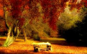 Image result for poze toamna geroasa