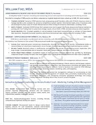 executive resume sample chief