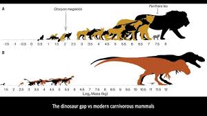 We did not find results for: La Habilidad De Los Jovenes T Rex Para Asumir El Rol De Otras Especies As Com