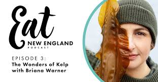 eatnewenglandpodcast (@eatnepodcast)