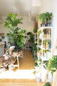 Ellachristinee On Pinterest Helpful Plant Care Pins The Zen Succulent N E W Shop In Raleigh Flower Shop Interiors Houseplants Indoor Garden Shop