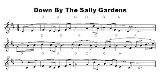 Penny Whistle Tunes Tune Tin Whistle Whistle