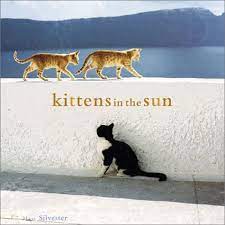 Kittens In The Sun Amazon Com Br