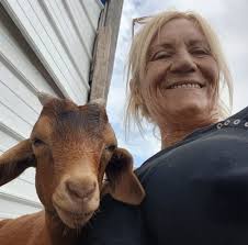 Suggestions for cleaning pigs ears? My little ones ears look pretty dirty.  She doesn't seem to be in pain and she doesn't love being touched