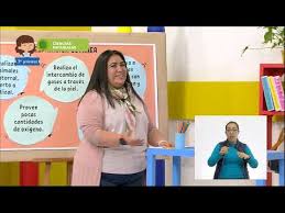 Estas criaturas, sin embargo, son capaces de respirar por toda la superficie de sus cuerpos. Aprendeencasa Ii 3Âº Primaria C N Conocemos Animales Que Respiran 08 De Diciembre 2020 Youtube