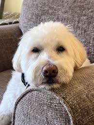 Very tired. Have a deep sleep