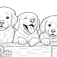 Adorable Puppies in a Box - Coloring.app