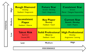 9 Box Grid For Succession Planning And Employee Talent Development Talent Management Leadership Development Succession Planning