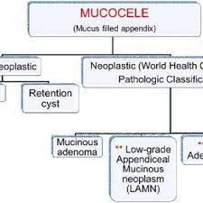 Treatment Algorithm For Appendiceal Mucinous Tumours Amca Download Scientific Diagram