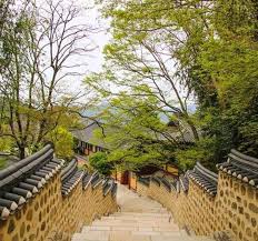 Karena jalur pohon yang tertutup salju akan membuat anda merasa seperti berada di setting drama winter sonata. 10 Rekomendasi Wisata Di Busan Pasti Nggak Bikin Bosan