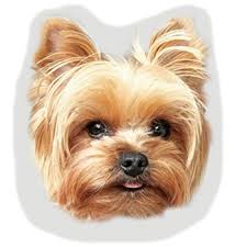 This pet throw pillow is an interactive statement accent piece that's sure to get compliments from guests and glam up your decor! Paw Pillow Pet Pillow 3d Pillow Custom Photo Pillow Wow Teddy