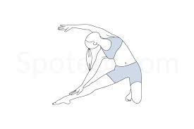 Gate Pose Parighasana Poses Workout Guide Yoga For Flexibility
