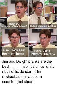 Spectacular Outreach Which Bear Is Best