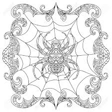 Brown recluse spider we hope these free printable spider coloring pages online will keep your child occupied for some time at least! Spider Coloring Page Royalty Free Cliparts Vectors And Stock Illustration Image 50153735