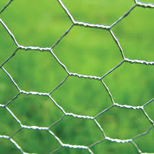 Maybe you would like to learn more about one of these? Rabbit Chicken Wire Harrod Horticultural Uk