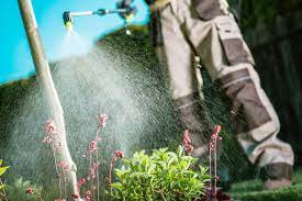 With advanced pest control solutions and an emphasis on environmental stewardship, our certified pest technicians can keep local pests at bay. 1800 Pest Control Indoor Outdoor Pest Control And Lawn Care Services
