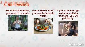 Which of the following is not a characteristic of all living things. Characteristics Of Life 8 Examples Tutors Com