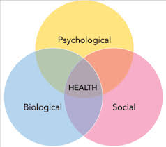 But not everyone agrees the bps model represents. About The Biopsychosocial Approach To Health Bah Clerkship Medical Education At Yale
