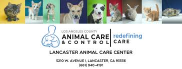 Boxer rescue los angeles (brla) has been saving the lives of boxer breeds and breed mixes since 1977. County Of Los Angeles Lancaster Animal Care Center Home Facebook